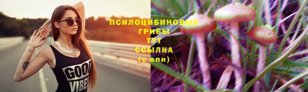 спиды Арсеньев