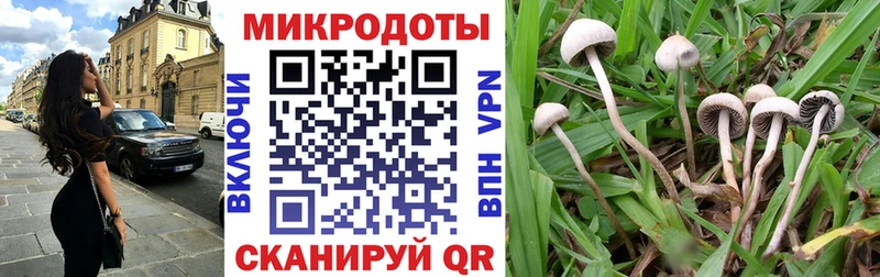 цены   Красногорск  Псилоцибиновые грибы Magic Shrooms 